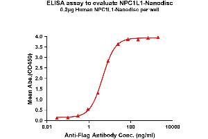 Elisa plates were pre-coated with Flag Tag L1-Nanodisc (0. (NPC1L1 蛋白)