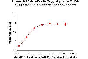 ELISA plate pre-coated by 2 μg/mL (100 μL/well) Human NTB-A Protein, mFc-His Tag (ABIN6961121, ABIN7042271 and ABIN7042272) can bind Anti-NTB-A antibody(DM159), Rabbit mAb in a linear range of 0. (SLAMF6 Protein (AA 22-226) (mFc-His Tag))