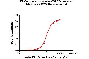 Elisa plates were added with His/Flag Tag S-Nanodisc (0. (SSTR2 蛋白)
