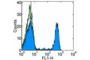 Image no. 1 for anti-CD8a Molecule (CD8A) antibody (FITC) (ABIN475708) (CD8 alpha 抗体  (FITC))