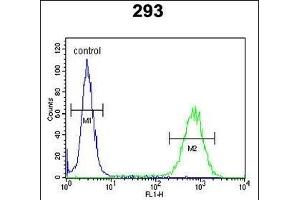 PCDH17 Antibody (C-term) (ABIN653792 and ABIN2843076) flow cytometric analysis of 293 cells (right histogram) compared to a negative control cell (left histogram). (PCDH17 抗体  (C-Term))