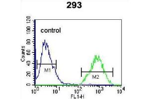 Flow Cytometry (FACS) image for anti-Transcription Factor AP-4 (Activating Enhancer Binding Protein 4) (TFAP4) antibody (ABIN2996468) (TFAP4 抗体)