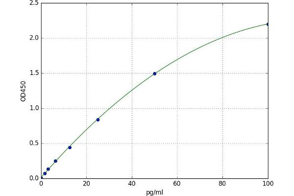 Endothelin 3 ELISA 试剂盒