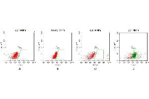 FACS analysis of CB1 MNPs A. (CNR1 蛋白)