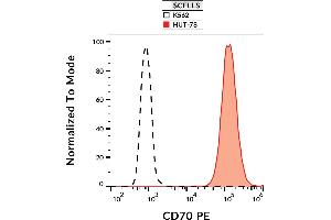 Flow cytometry analysis (surface staining) of HUT-78 and K562 cell lines with anti-human CD70 (Ki-24) PE. (CD70 抗体  (PE))