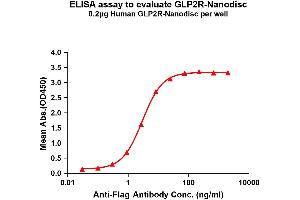 Elisa plates were pre-coated with Flag Tag R-Nanodisc (0. (GLP2R 蛋白)