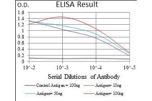 Fig. (SLUG 抗体  (AA 100-200))