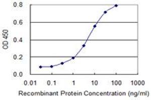 Detection limit for recombinant GST tagged ZNF281 is 0. (ZNF281 抗体  (AA 787-893))