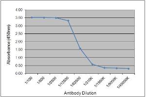 ELISA image for Mouse anti-Chicken IgY antibody (ABIN2481219) (小鼠 anti-小鸡 IgY Antibody)