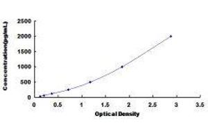 ELISA image for Transforming Growth Factor, beta 2 (TGFB2) ELISA Kit (ABIN414725) (TGFB2 ELISA 试剂盒)