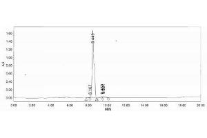 Image no. 1 for Chymotrypsin-Like Elastase Family, Member 1 (CELA1) peptide (Ovalbumin) (ABIN5666154) (Chymotrypsin-Like Elastase Family, Member 1 (CELA1) peptide (Ovalbumin))