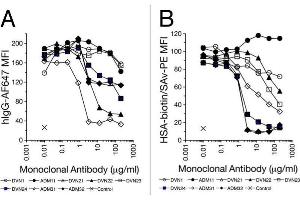 Flow Cytometry (FACS) image for anti-neonatal Fc Receptor (FcRn) antibody (ABIN7539618)