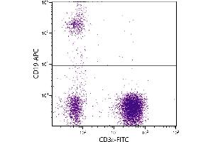 Human peripheral blood lymphocytes were stained with Mouse Anti-Human CD19-APC. (CD19 抗体  (APC))