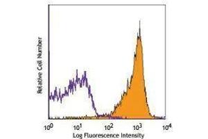 Flow Cytometry (FACS) image for anti-CD90/CD90.1 antibody (PE-Cy7) (ABIN2659567) (CD90/CD90.1 抗体 (PE-Cy7))