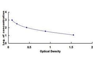 ELISA image for Cholecystokinin 18 (CCK18) ELISA Kit (ABIN1873487) (CCK18 ELISA 试剂盒)