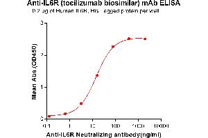 ELISA plate pre-coated by 2 μg/mL (100 μL/well) Human IL6R, His tagged protein ABIN6964085, ABIN7042425 and ABIN7042426 can bind Anti-IL6R Neutralizing antibody (ABIN7093060 and ABIN7272590) in a linear range of 0. (Recombinant IL-6R (Tocilizumab Biosimilar) 抗体)