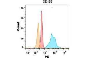 CD155 protein is highly expressed on the surface of Expi293 cell membrane. (Poliovirus Receptor 抗体  (AA 21-343))