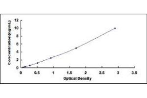 Typical standard curve (TYROBP ELISA 试剂盒)