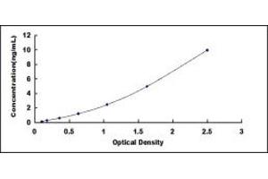 Typical standard curve (ALAD ELISA 试剂盒)