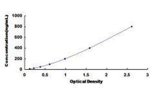 ELISA image for Hemoglobin ELISA Kit (ABIN1118092) (Hemoglobin ELISA 试剂盒)