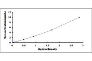 Typical standard curve (CSRP1 ELISA 试剂盒)