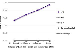 ELISA plate was coated with purified human IgG, IgM, and IgA, cynomolgus IgG, and rhesus IgG. (山羊 anti-人 IgG Antibody - Preadsorbed)