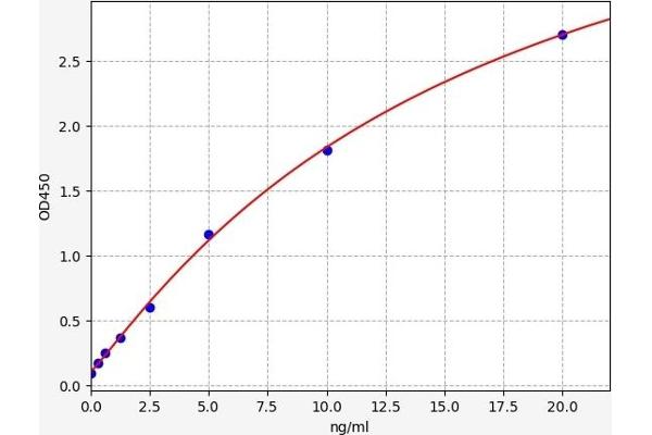 Very Low Density Lipoprotein (VLDL) ELISA 试剂盒