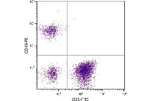 Human peripheral blood lymphocytes were stained with Mouse F(ab’)2 Anti-Human CD19-PE. (CD19 抗体)