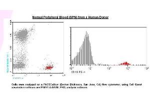 Image no. 1 for anti-CD19 Molecule (CD19) antibody (PE) (ABIN1112077) (CD19 抗体  (PE))