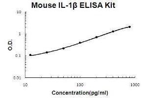 ELISA image for Interleukin 1, beta (IL1B) ELISA Kit (ABIN411294) (IL-1 beta ELISA 试剂盒)