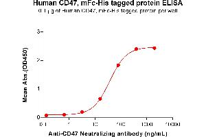 ELISA plate pre-coated by 1 μg/mL (100 μL/well) Human CD47, mFc-His tagged protein  (ABIN6961081, ABIN7042191 and ABIN7042192) can bind Anti-CD47 Neutralizing antibody ABIN7093068 and ABIN7272598 in a linear range of 3. (CD47 Protein (CD47) (AA 19-141) (mFc-His Tag))