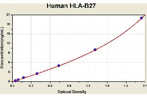 Diagramm of the ELISA kit to detect Human HLA-B27with the optical density on the x-axis and the concentration on the y-axis. (Leukocyte Antigen B27 ELISA 试剂盒)