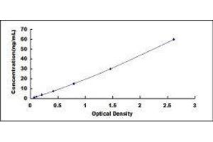 Typical standard curve (TEK ELISA 试剂盒)