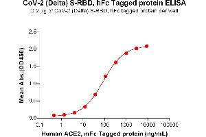 ELISA image for SARS-CoV-2 Spike (B.1.617.2 - delta), (RBD) protein (Fc Tag) (ABIN7490659)