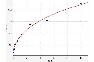 CTHRC1 ELISA 试剂盒