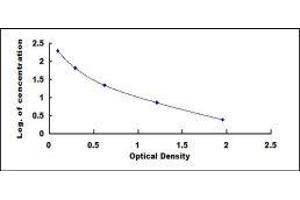 ELISA image for 25-Hydroxyvitamin D3 (HVD3) ELISA Kit (ABIN1118061) (HVD3 ELISA 试剂盒)