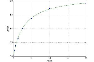 A typical standard curve (FcRn ELISA 试剂盒)