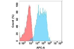 Flow cytometry analysis with Anti- on Expi293 cells transfected with human (Blue histogram) or Expi293 transfected with irrelevant protein (Red histogram). (GPA33 抗体)