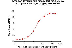 ELISA plate pre-coated by 2 μg/mL (100 μL/well) Human IL21 Protein, hFc Tag (ABIN6964397, ABIN7042851 and ABIN7042852) can bind Anti-IL21 Neutralizing antibody (ABIN7478002 and ABIN7490948) in a linear range of 2. (Recombinant IL21 (Avizakimab Biosimilar) 抗体)
