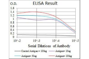 ELISA image for anti-Hexosaminidase A (HEXA) antibody (ABIN2970912) (Hexosaminidase A 抗体)