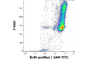 Flow cytometry multicolor intracellular staining pattern of BrdU incorporated K562 cellular suspension using anti-BrdU (Bu20a) purified antibody (concentration in sample 4 μg/mL, GAM FITC) and 7-AAD. (BrdU 抗体)