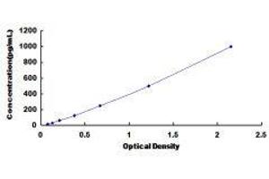 ELISA image for Chemokine (C-X-C Motif) Ligand 13 (CXCL13) ELISA Kit (ABIN417155) (CXCL13 ELISA 试剂盒)