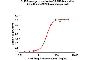 Elisa plates were pre-coated with Flag Tag OR8U8-Nanodisc (0. (Olfactory Receptor, Family 8, Subfamily U, Member 8 (OR8U8) 蛋白)