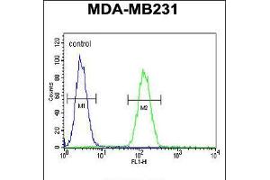 Flow cytometric analysis of MDA-MB231 cells (right histogram) compared to a negative control cell (left histogram). (Syntaxin 7 抗体  (N-Term))