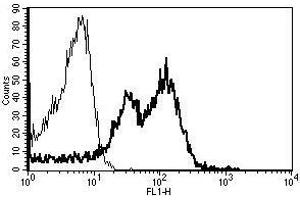 A typical staining pattern with the B-D15 monoclonal antibody of lymphocytes (ITGB1 抗体)