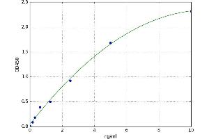 A typical standard curve (UBR1 ELISA 试剂盒)