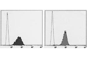 Flow Cytometry (FACS) image for anti-Transferrin Receptor (p90, CD71) (TFRC) antibody (FITC) (ABIN1449272) (Transferrin Receptor 抗体  (FITC))