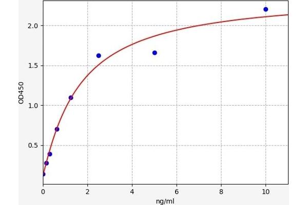 S100 Protein (S100) ELISA 试剂盒