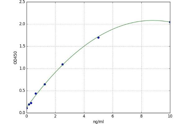 PAFAH1B1 ELISA 试剂盒