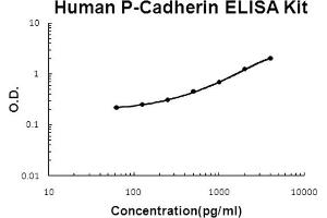 Human P-Cadherin Accusignal ELISA Kit Human P-Cadherin AccuSignal ELISA Kit standard curve. (P-Cadherin ELISA 试剂盒)